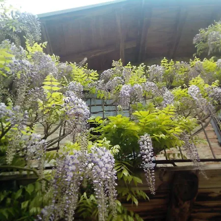 Casa vacanze Cascina Burroni *
